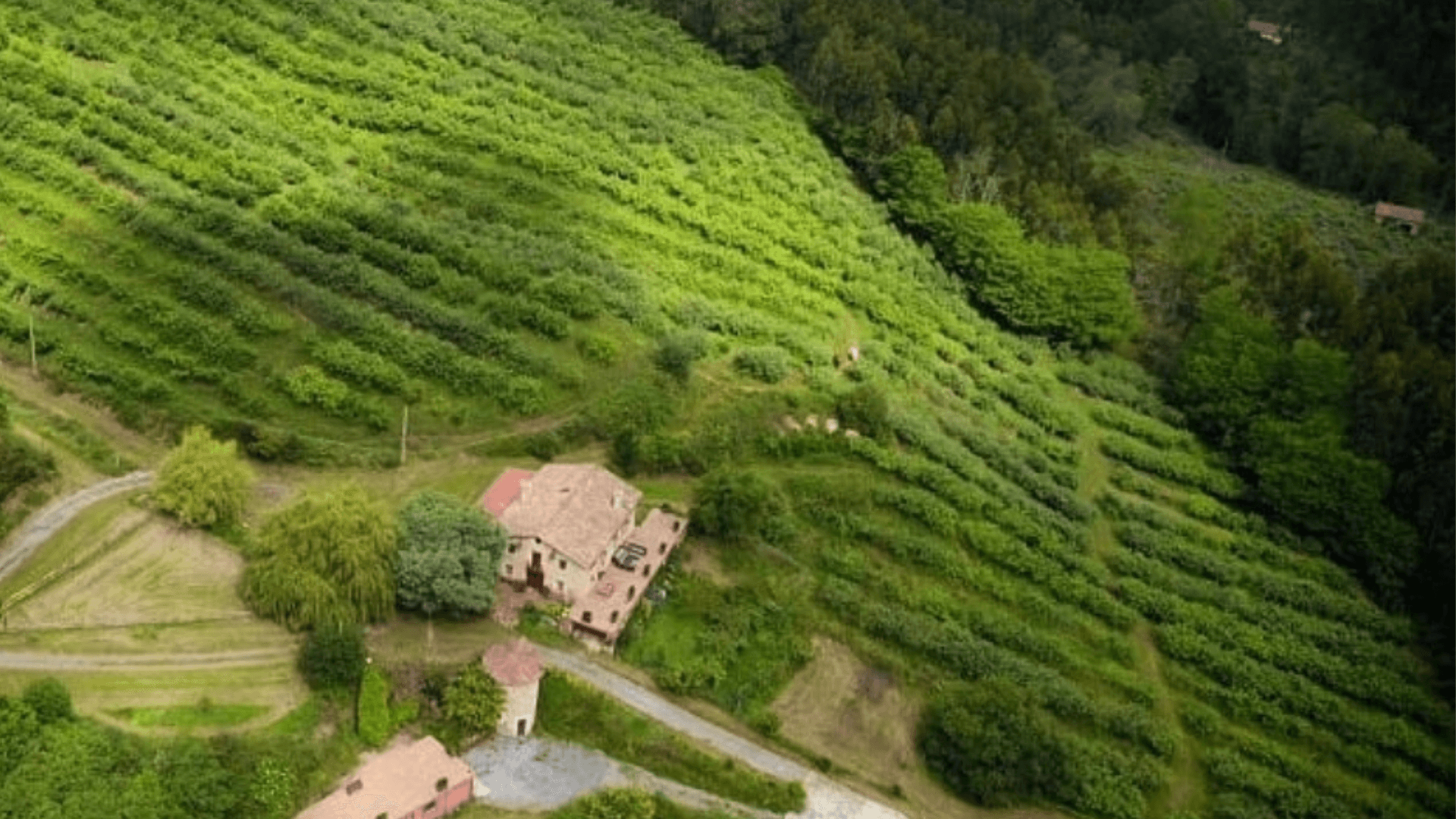 Portada de la iniciativa