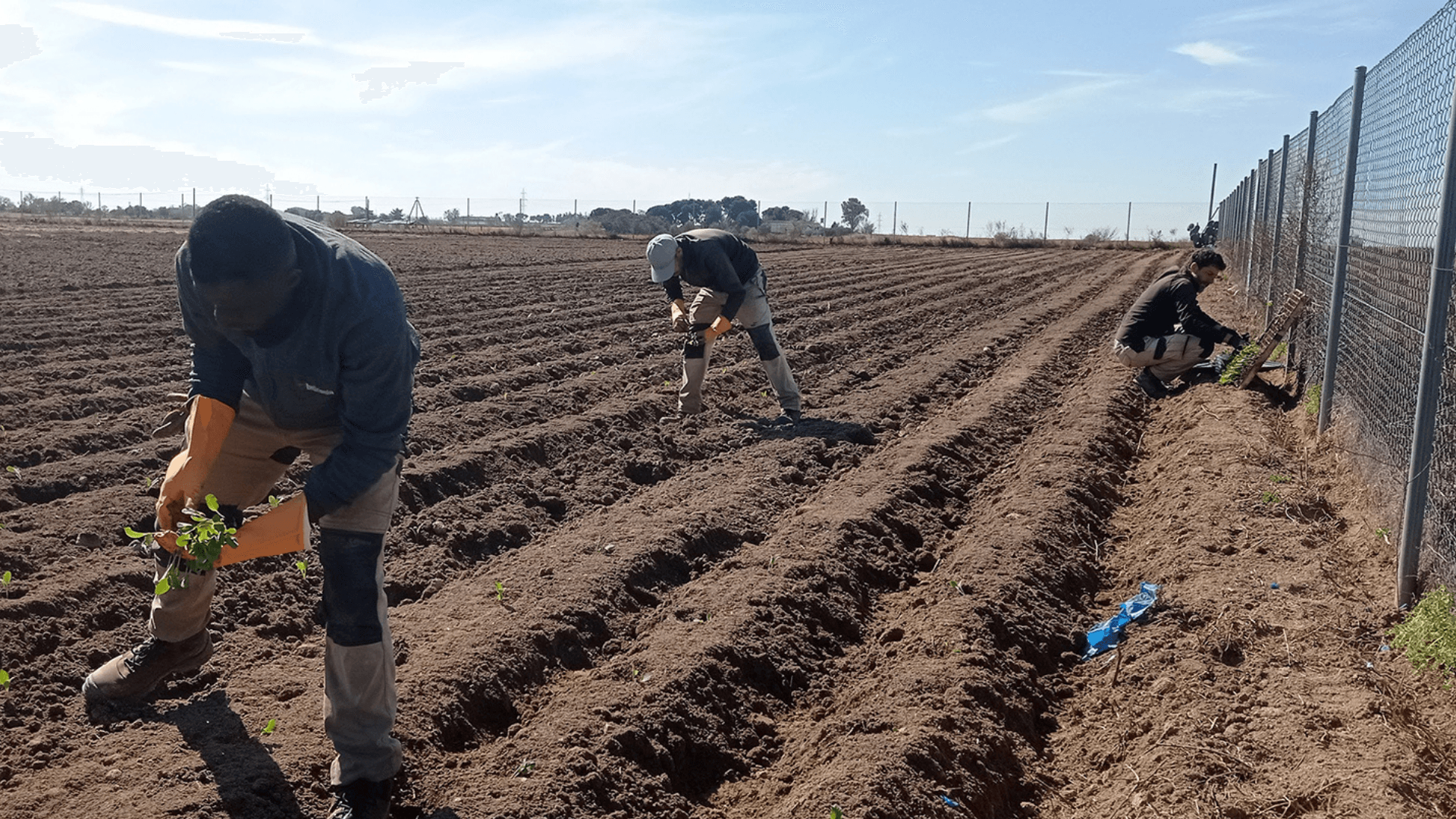 Portada de la iniciativa