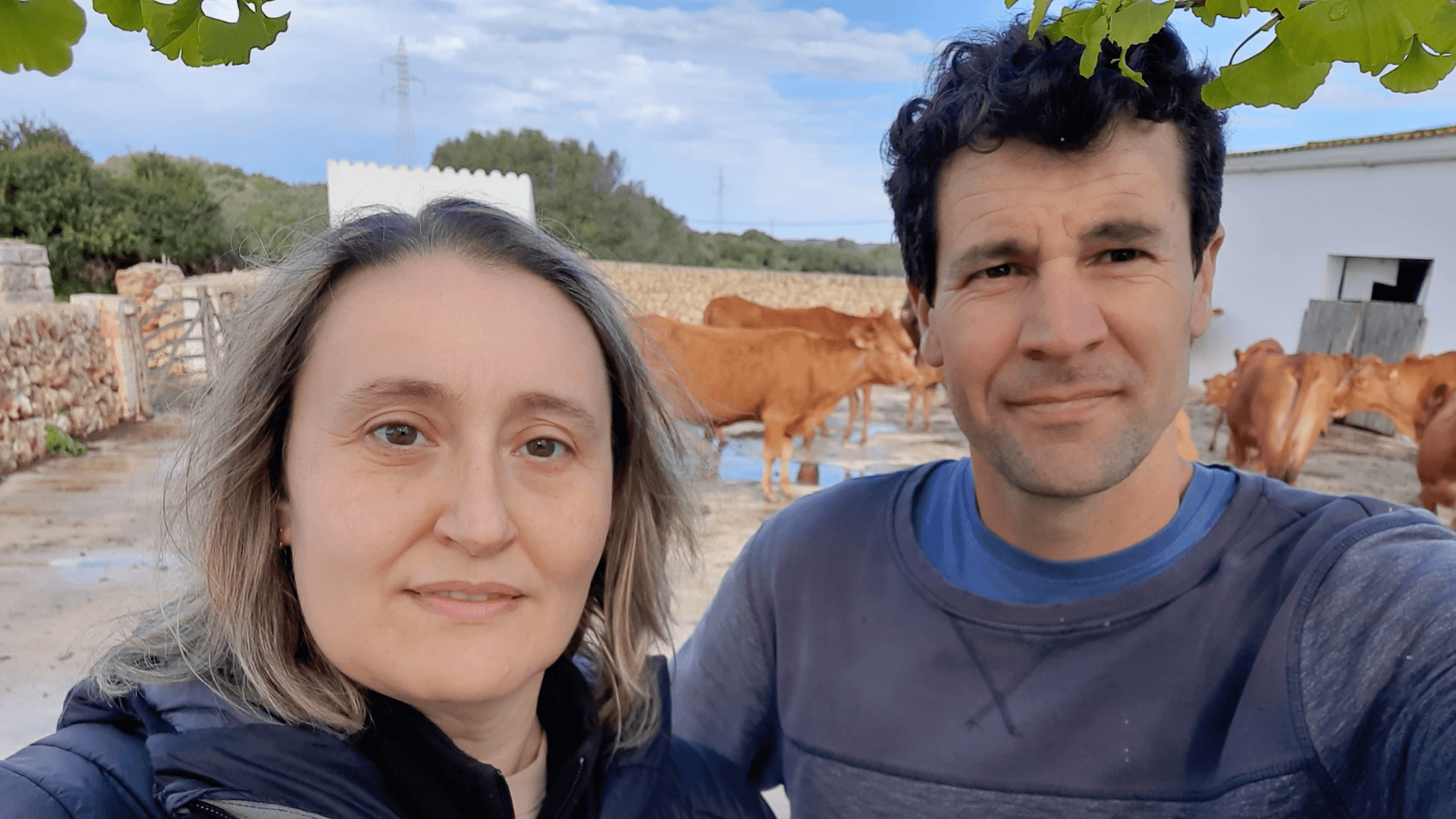 Portada de la iniciativa