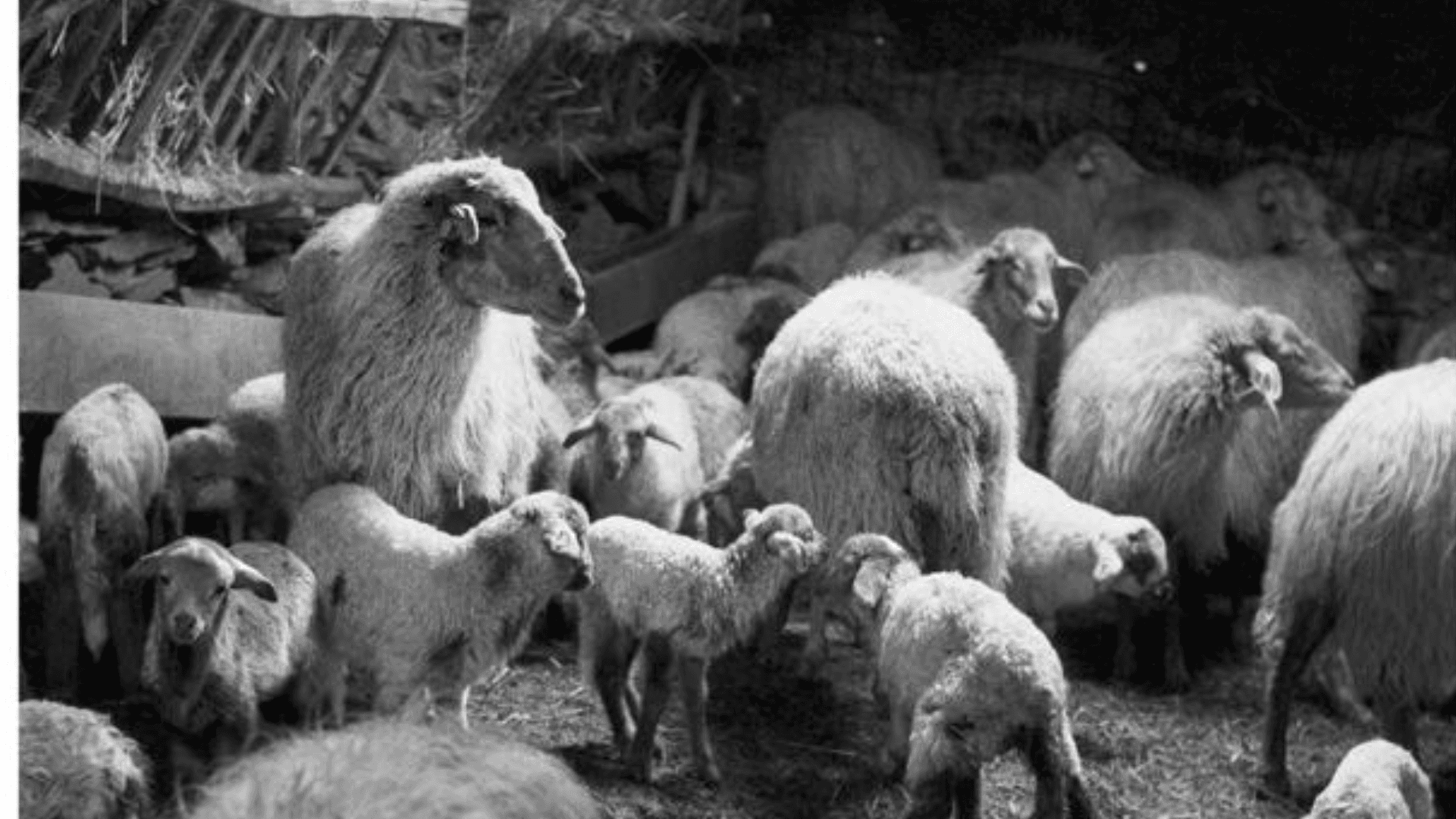 Portada de la iniciativa