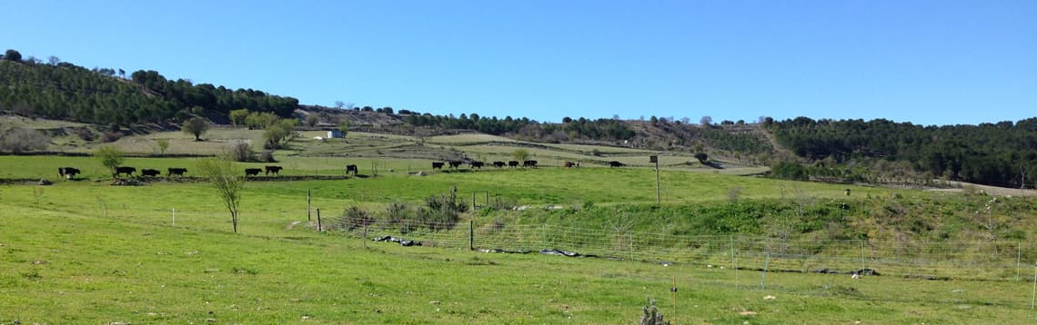 Cooperativa Crica