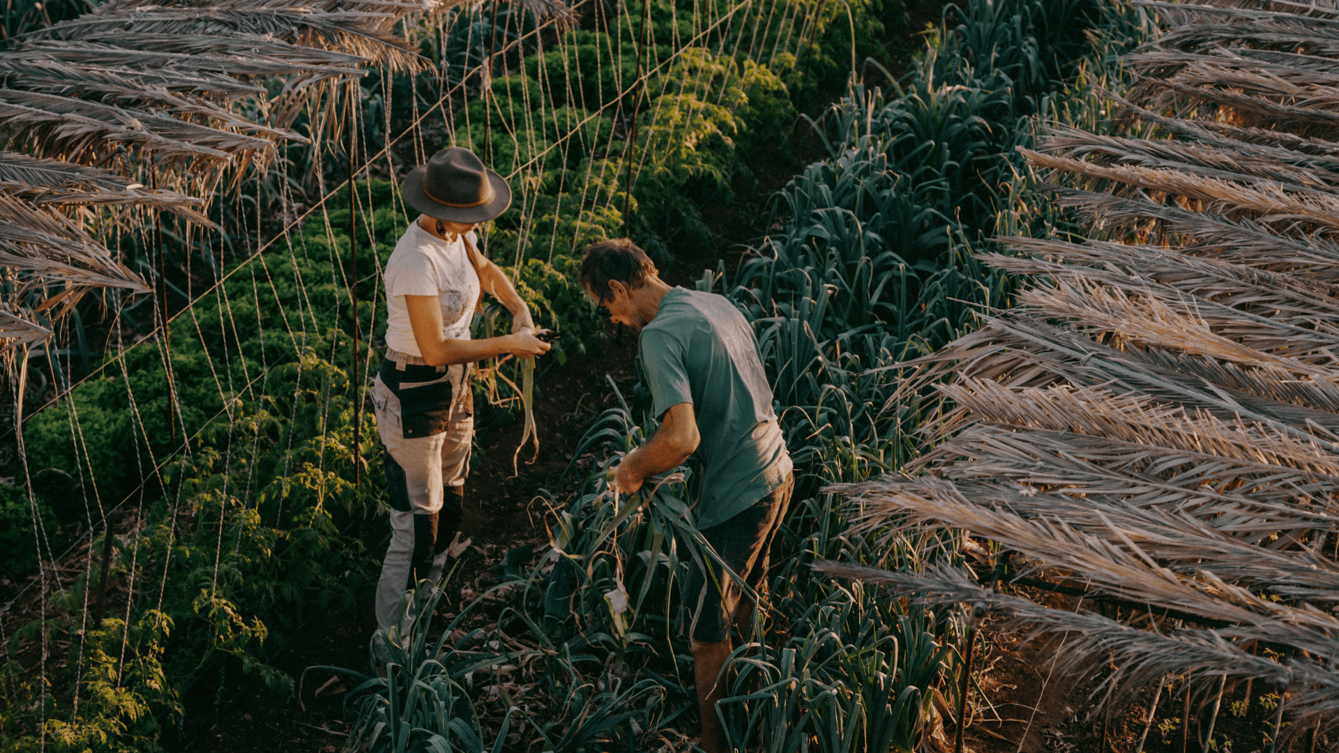 Portada de la iniciativa