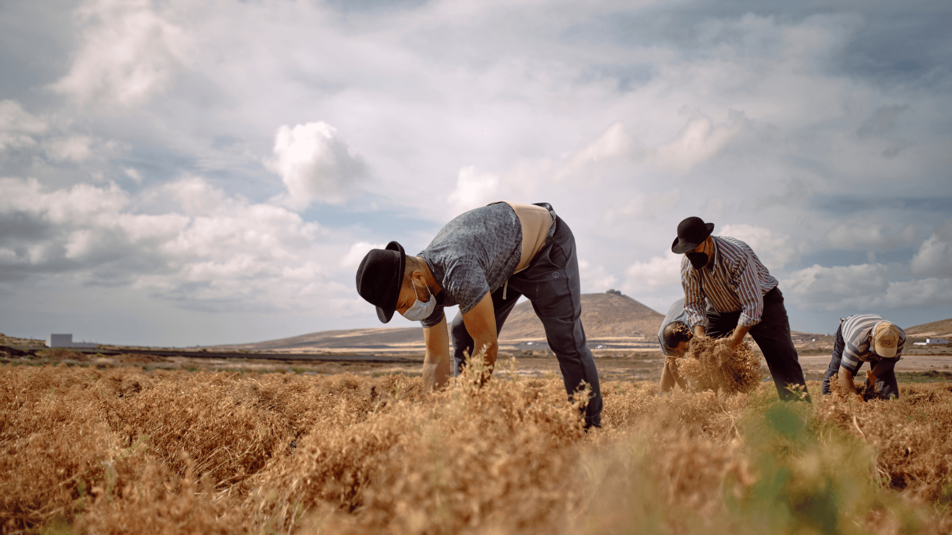 Portada de la iniciativa