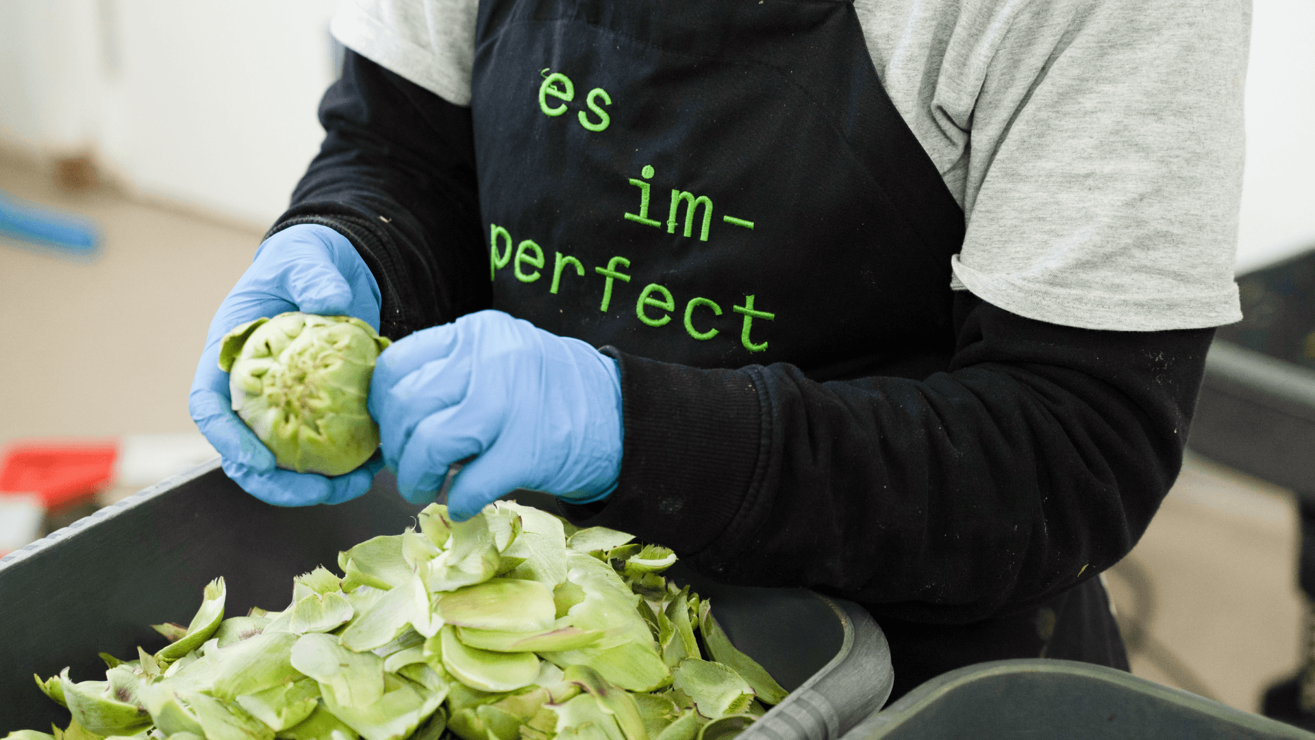 Portada de la iniciativa