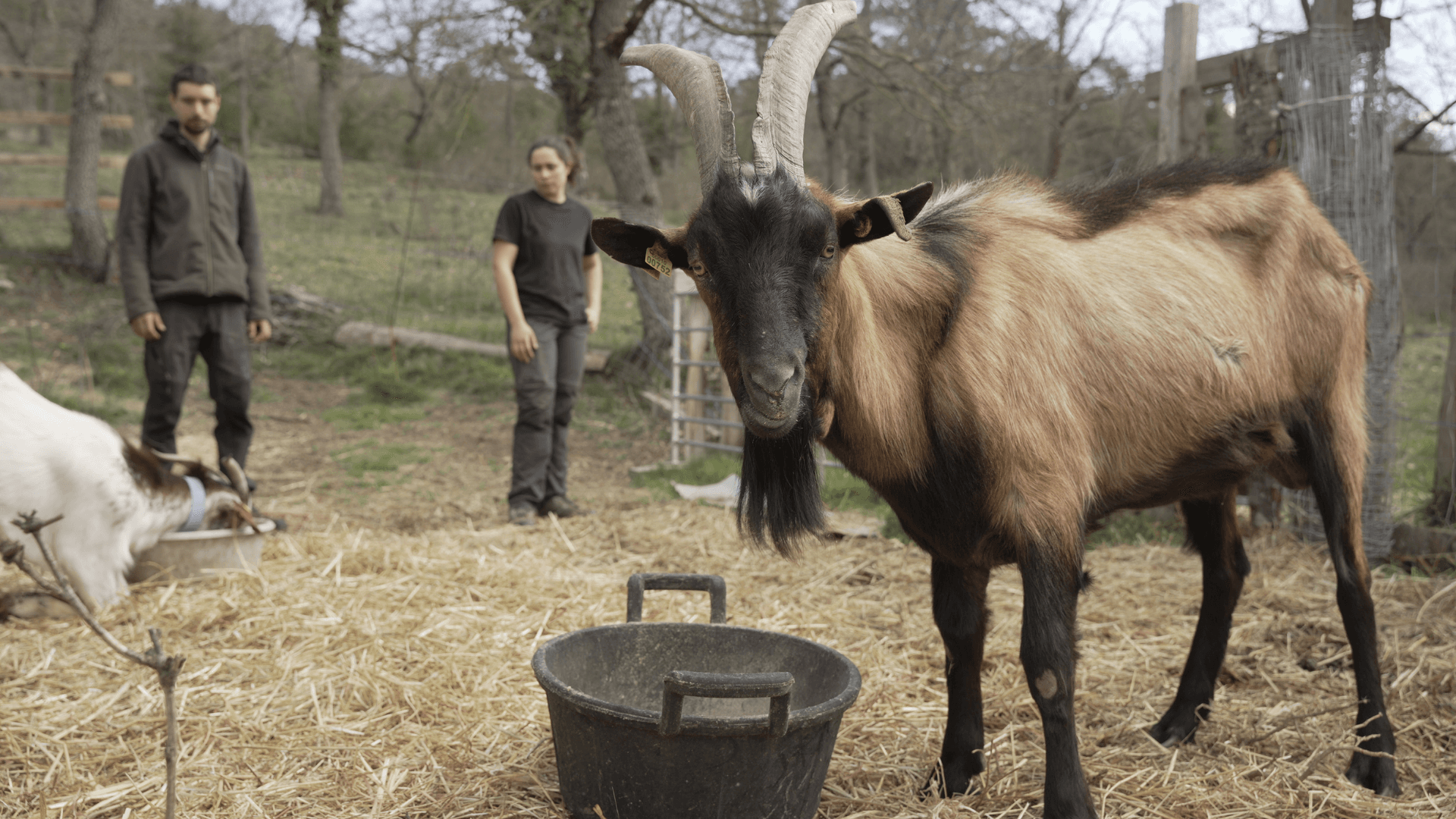 Portada de la iniciativa