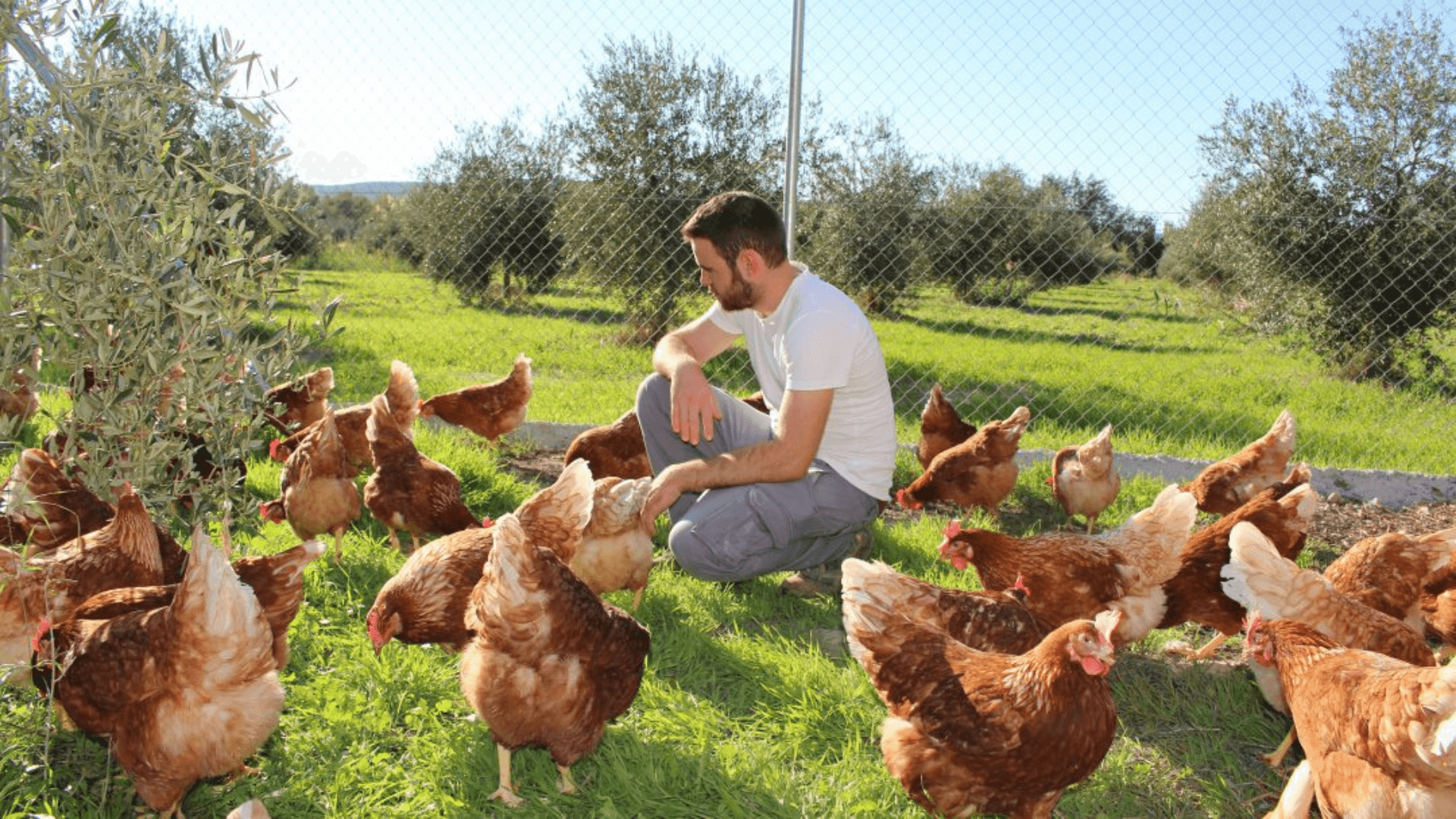 Portada de la iniciativa