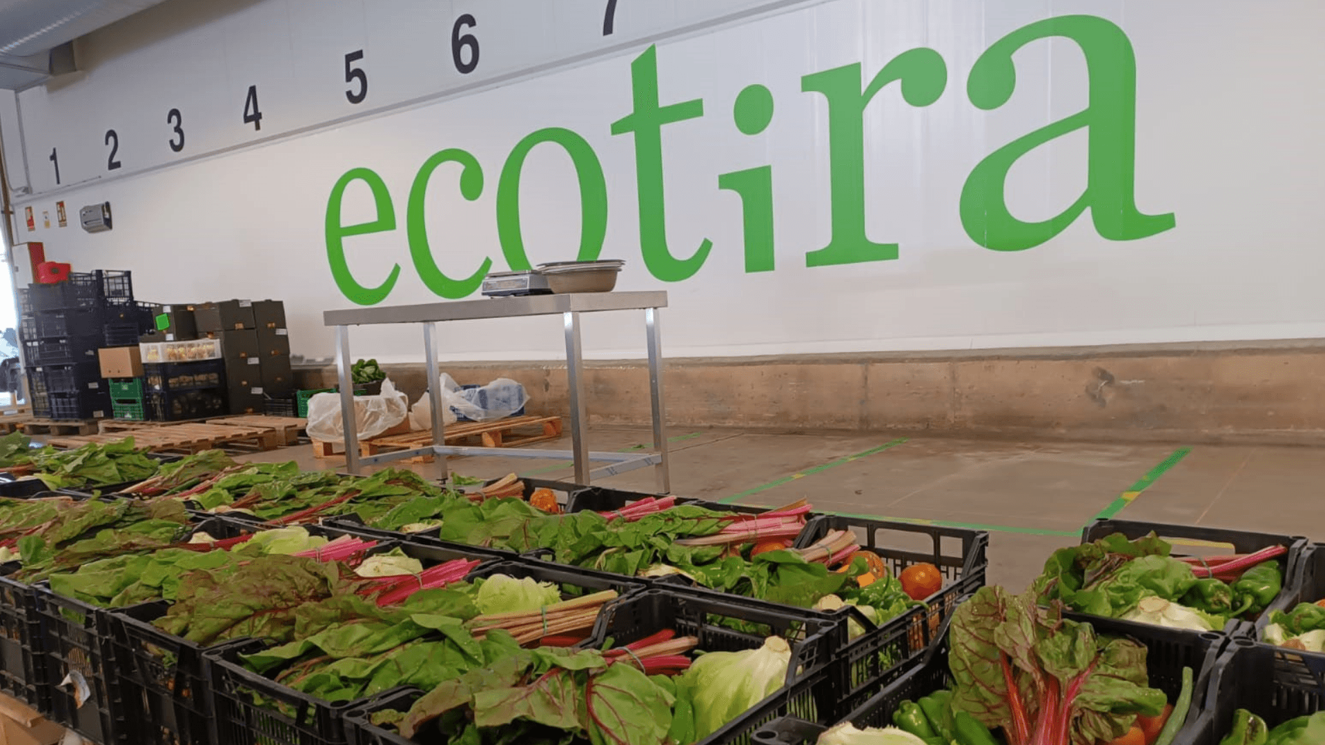 Portada de la iniciativa