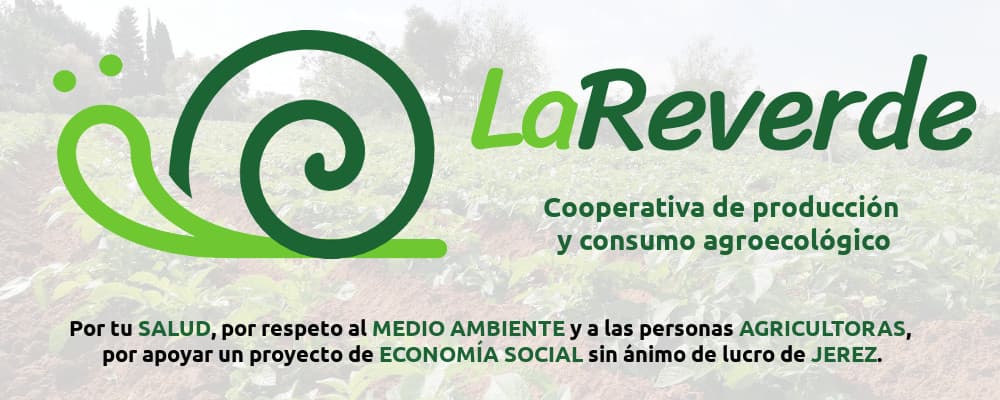 Imagen - undefined