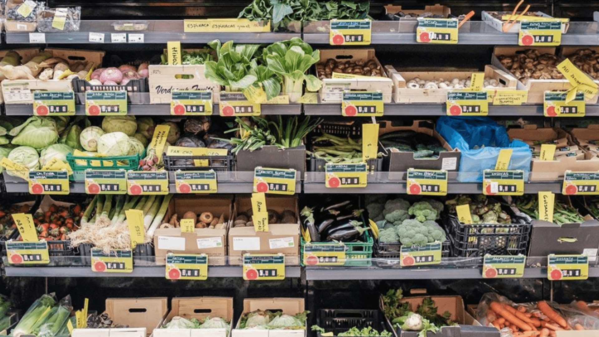 Portada de la iniciativa