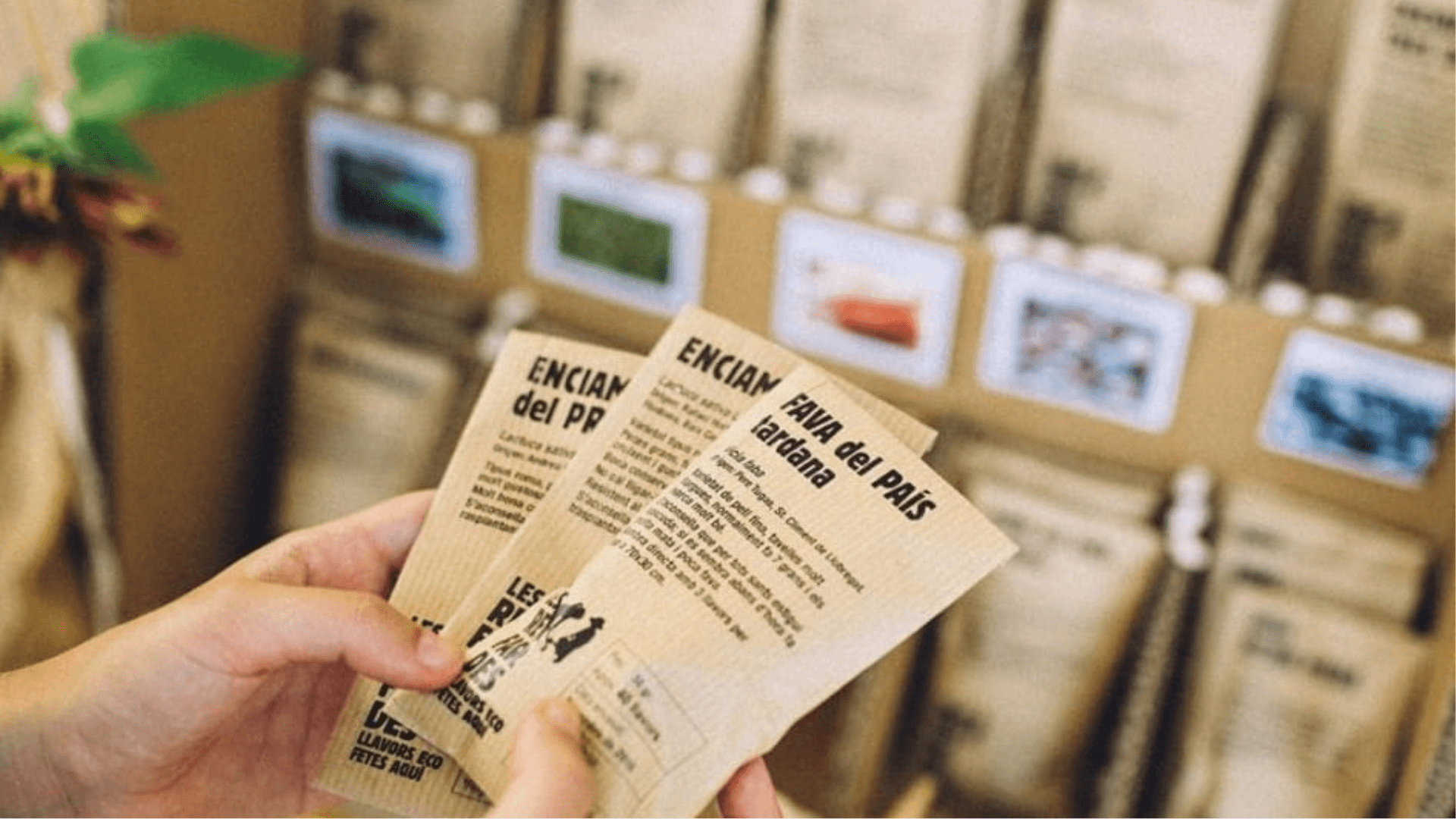 Portada de la iniciativa