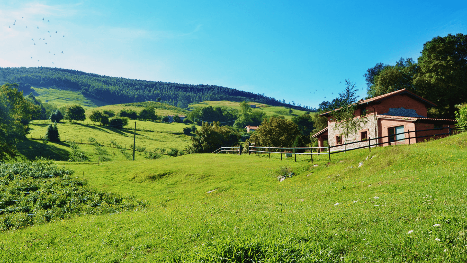 Portada de la iniciativa