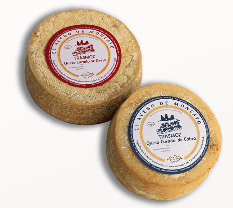 Portada de la iniciativa