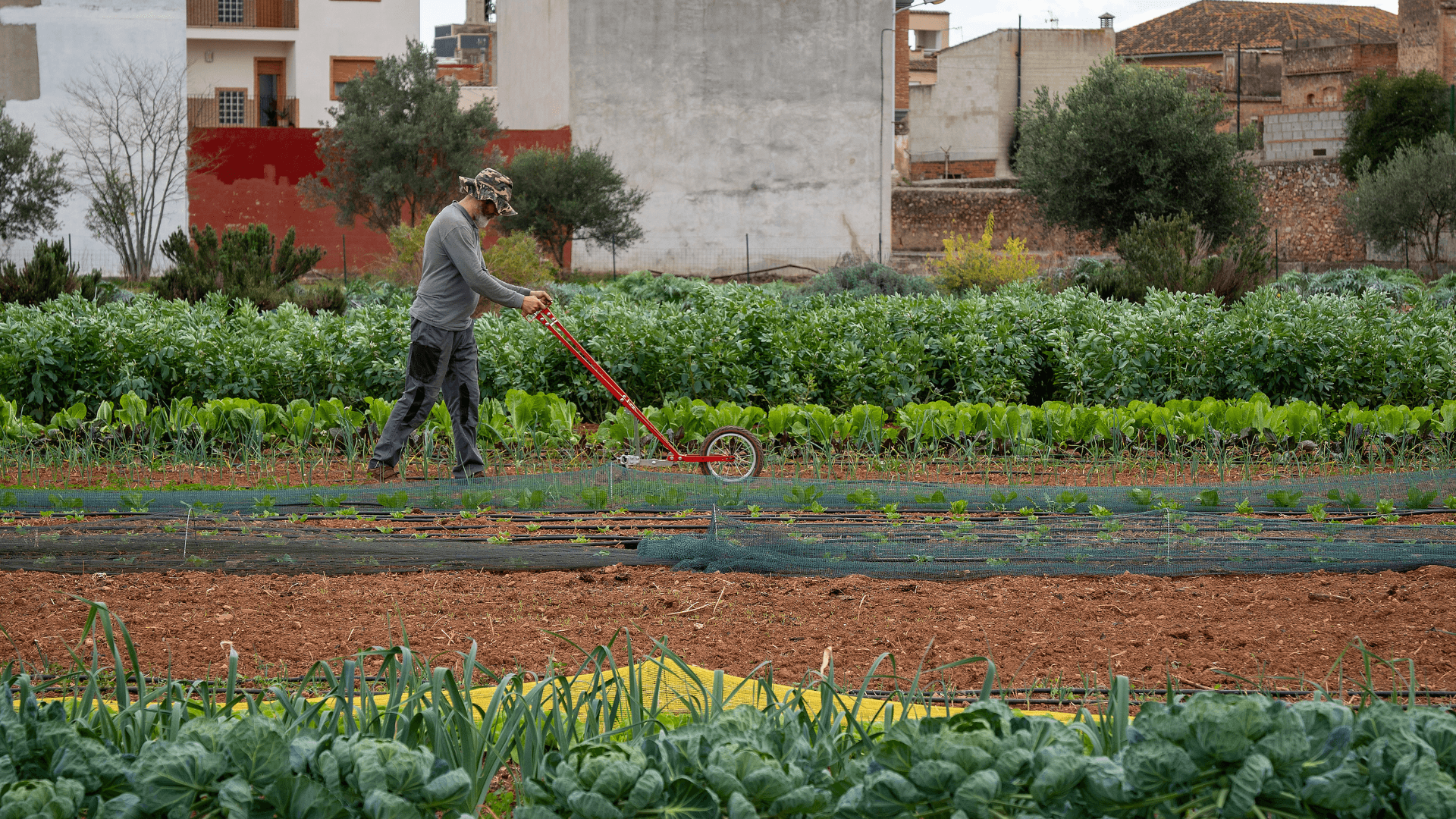 Portada de la iniciativa