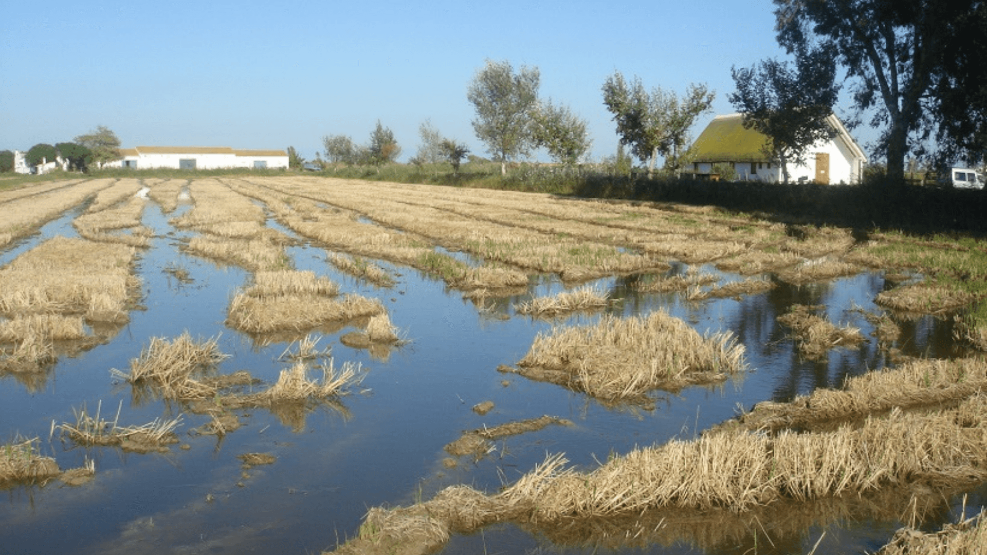 Portada de la iniciativa