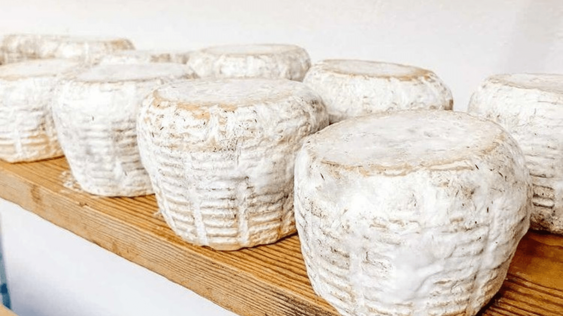 Portada de la iniciativa