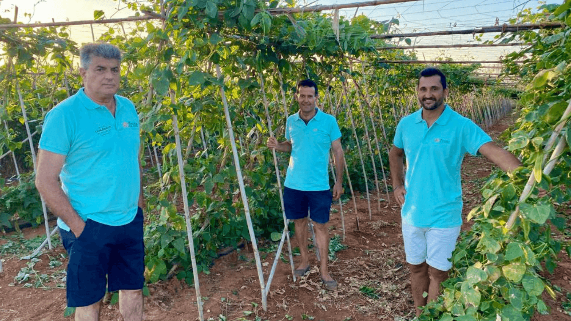 Portada de la iniciativa