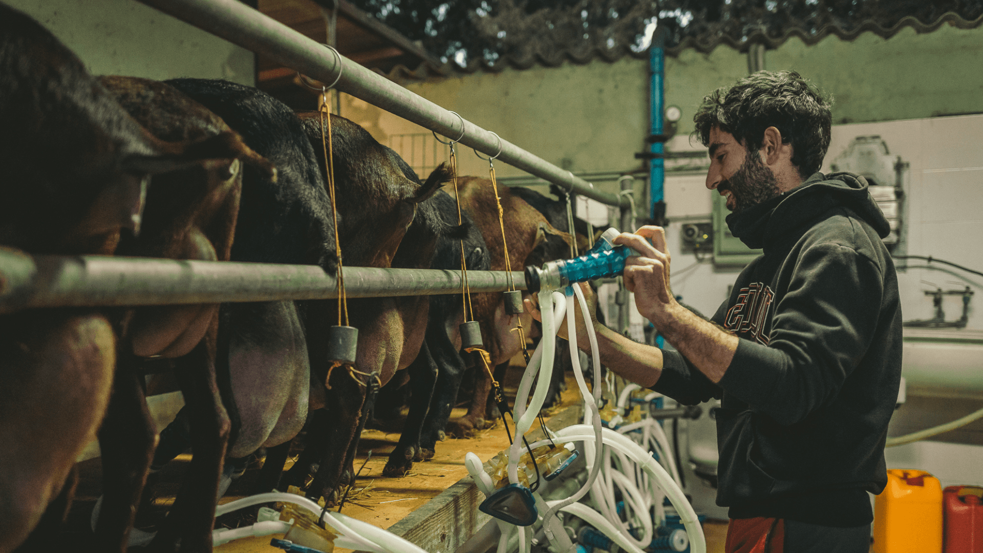 Portada de la iniciativa