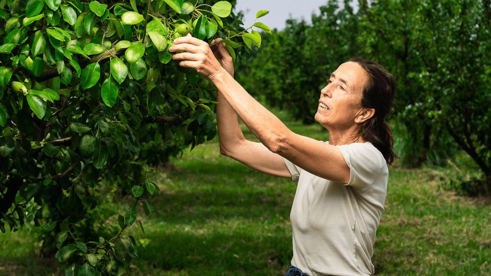 Portada de la iniciativa