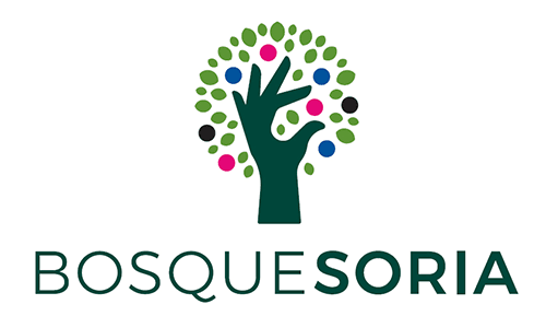 Bosque de Soria