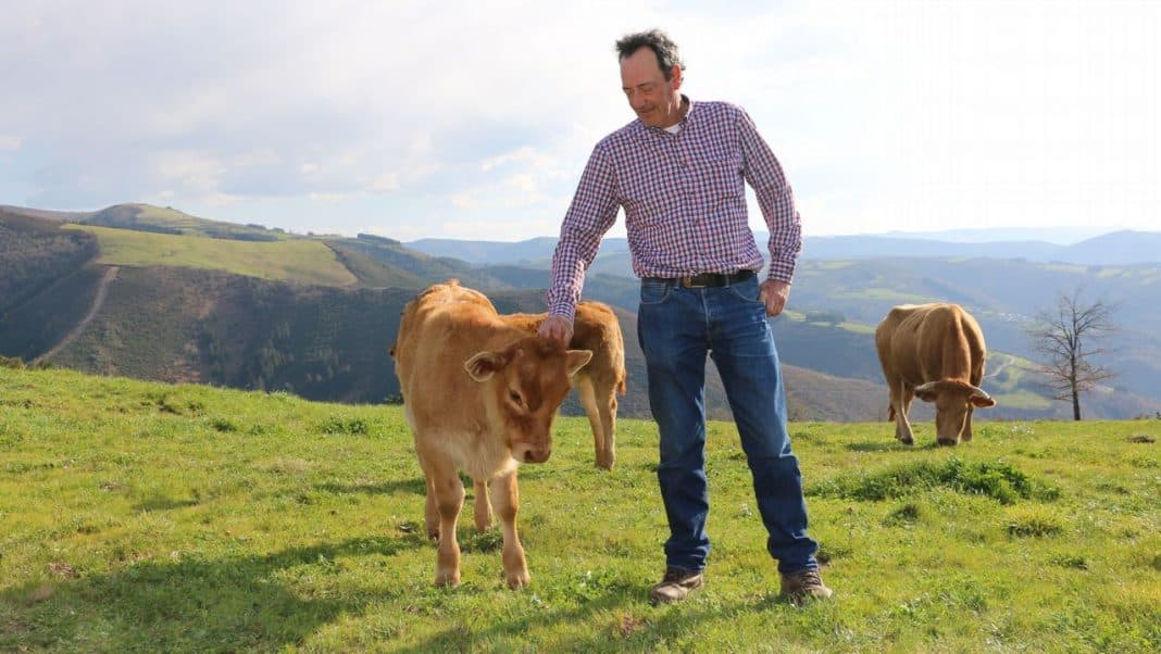 Portada de la iniciativa