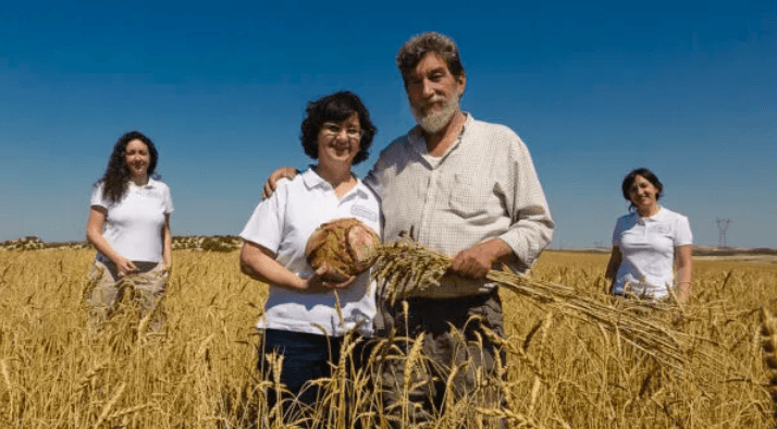 Portada de la iniciativa