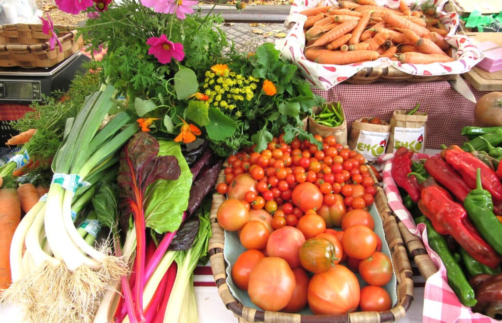 Portada de la iniciativa