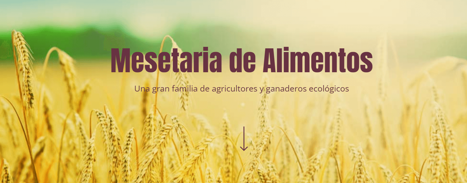 Portada de la iniciativa