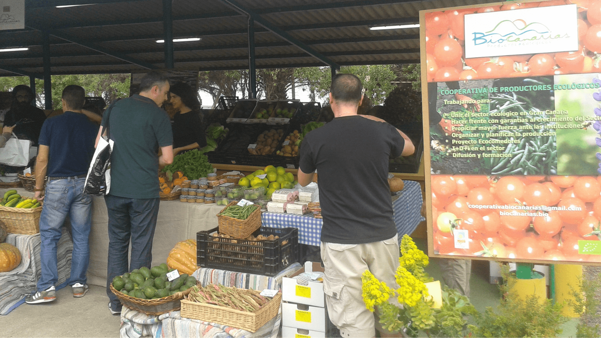 Portada de la iniciativa