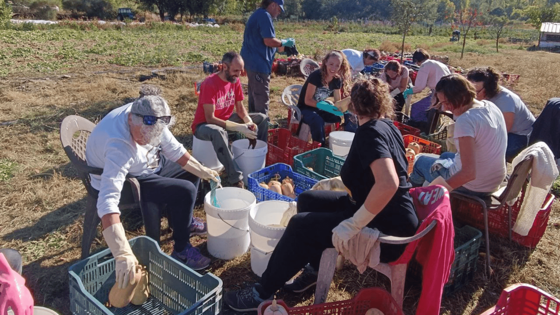 Portada de la iniciativa