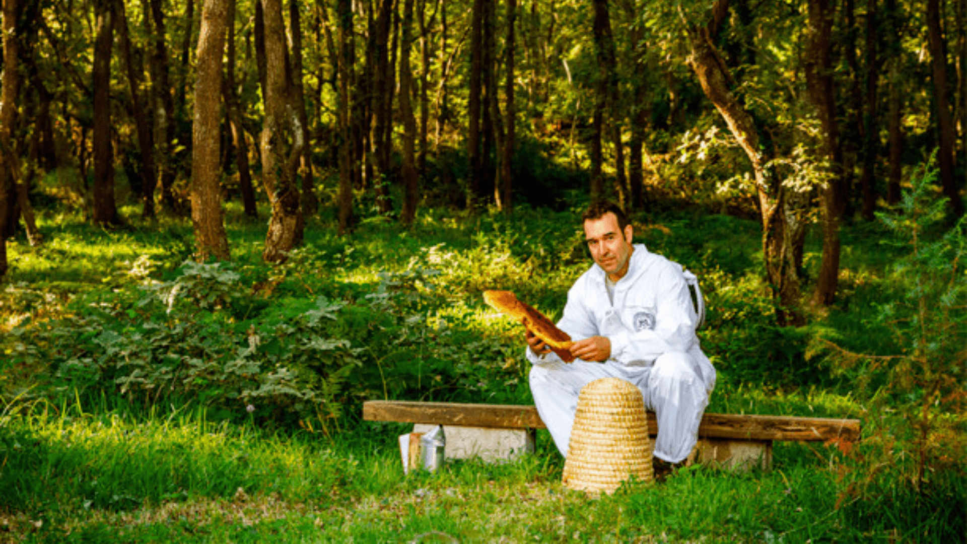 Portada de la iniciativa