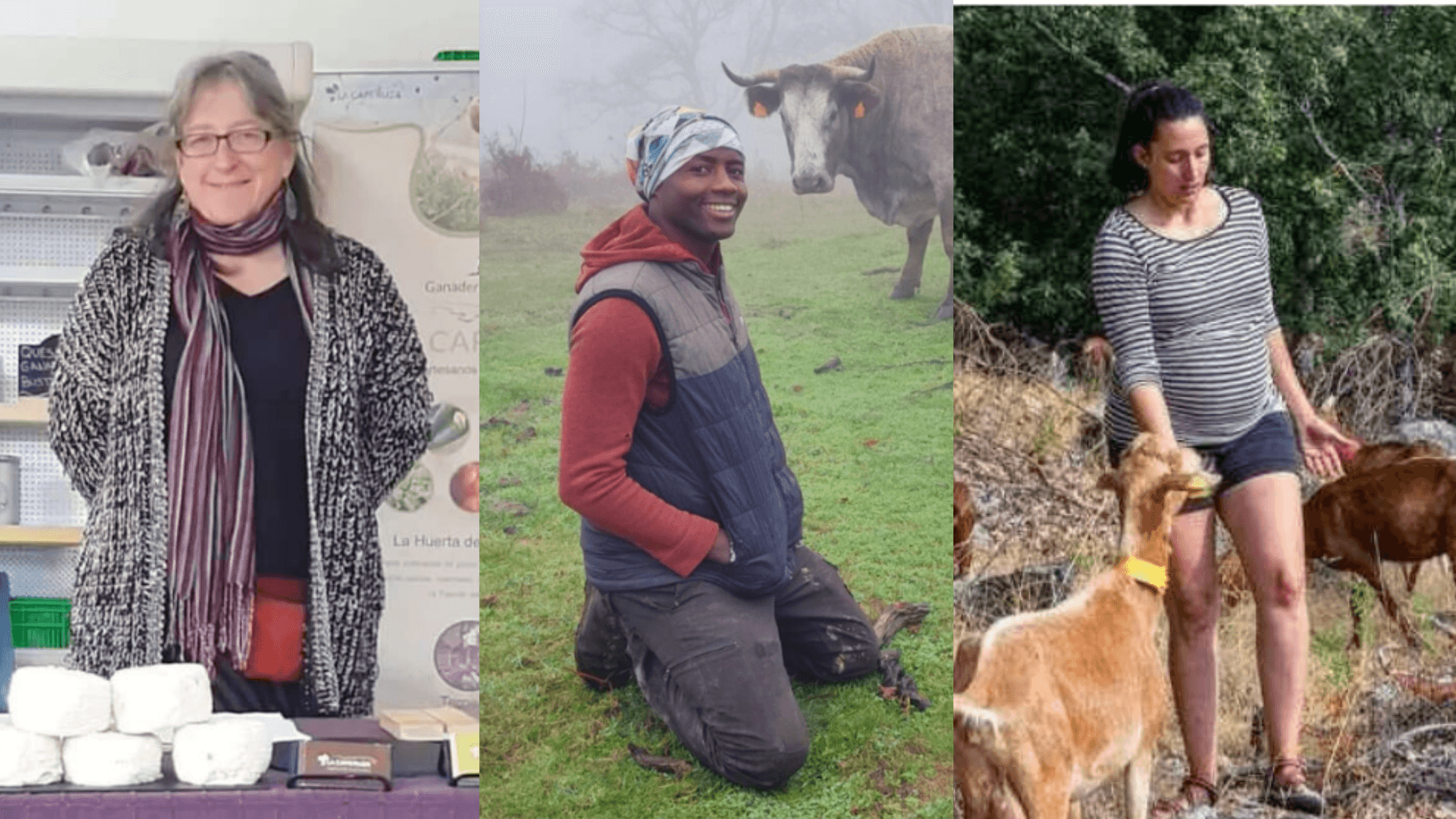 Portada de la iniciativa