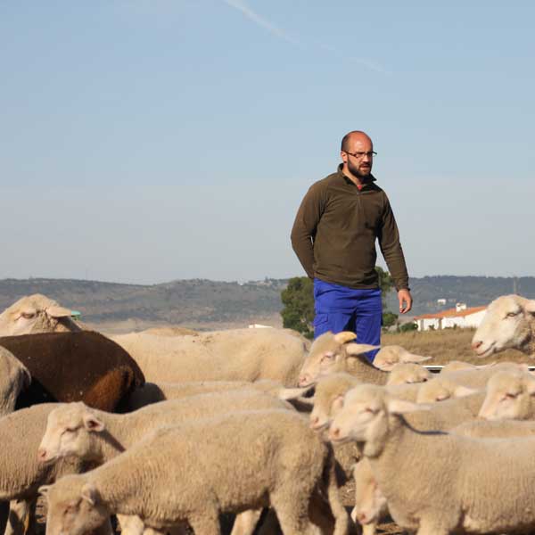 Portada de la iniciativa