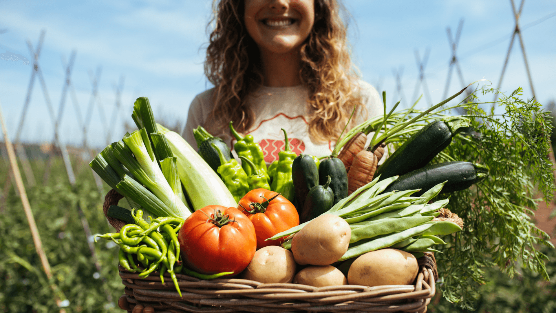 Portada de la iniciativa