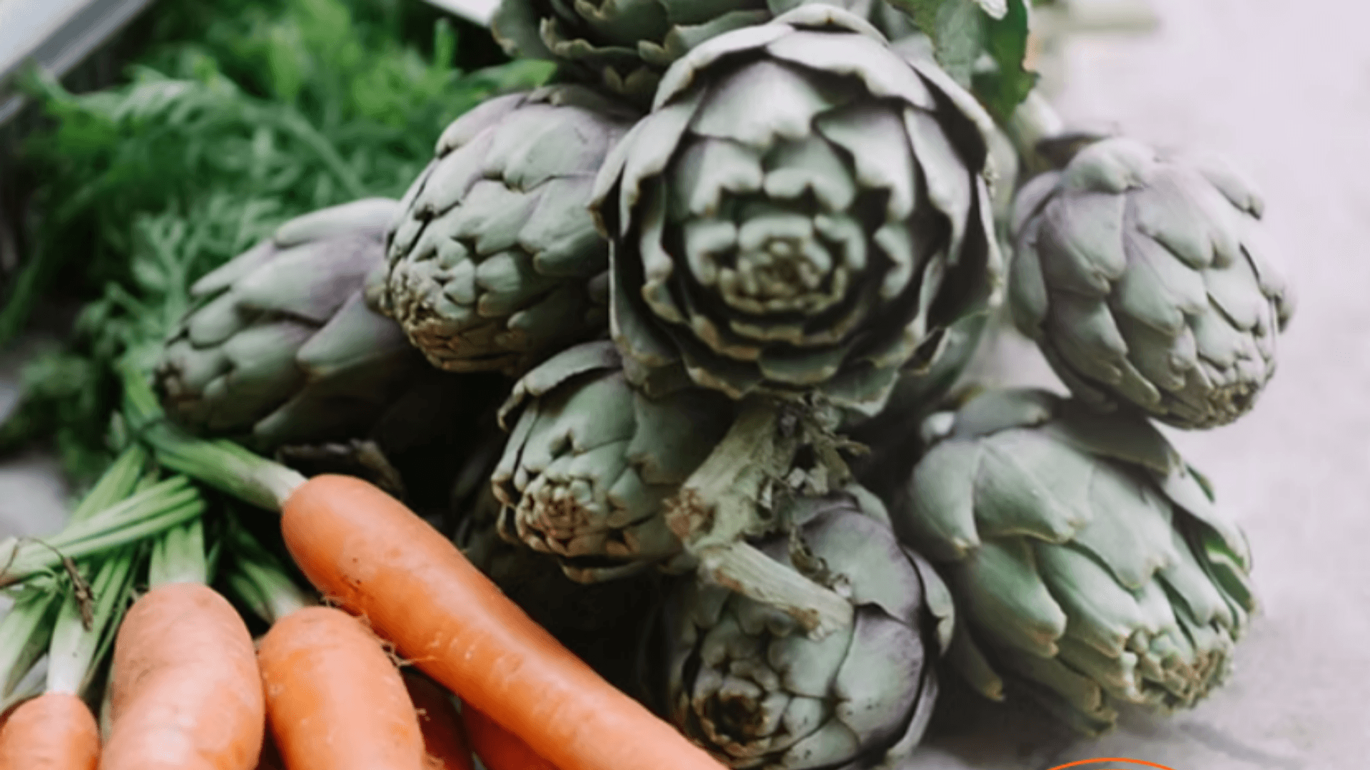 Portada de la iniciativa