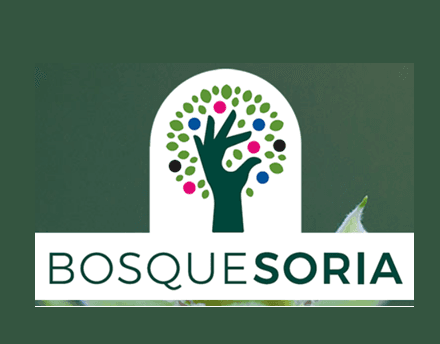 Bosque de Soria